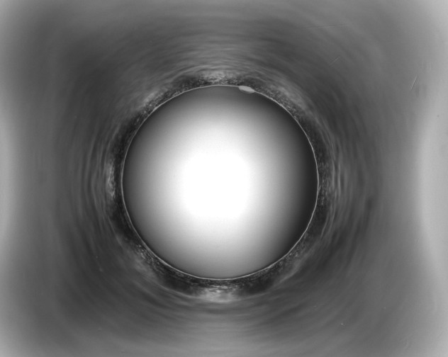 X0000086910700200704301037