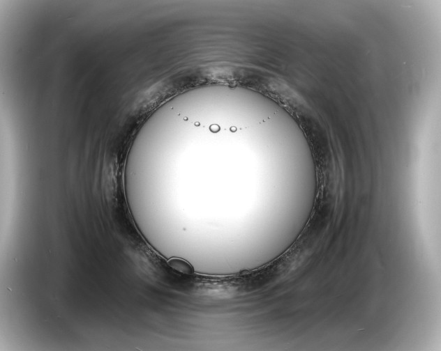 X0000086910702200704301037