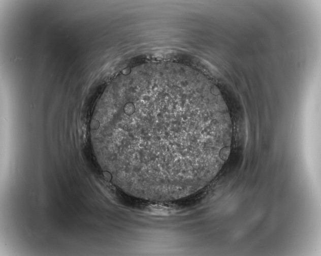 X0000086910703200704301037