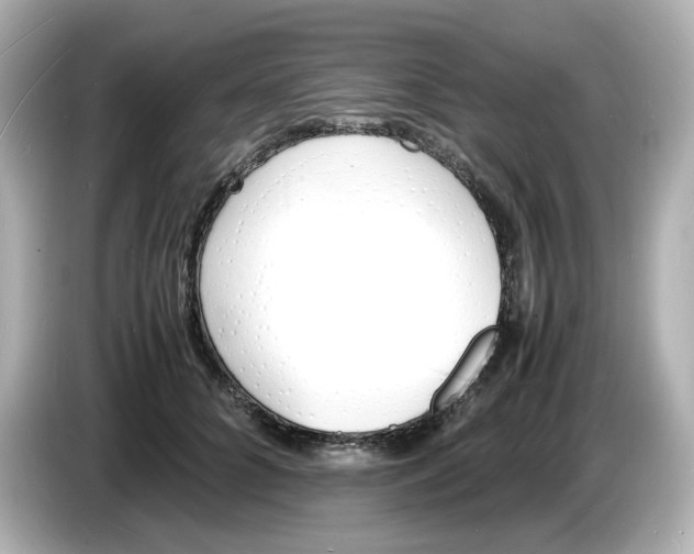 X0000086910704200704301037