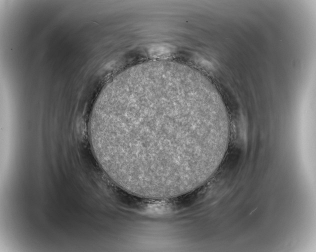 X0000086910705200704301037