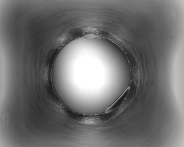 X0000086910708200704301037