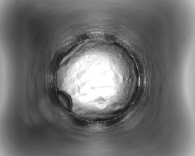 X0000086910711200704301037