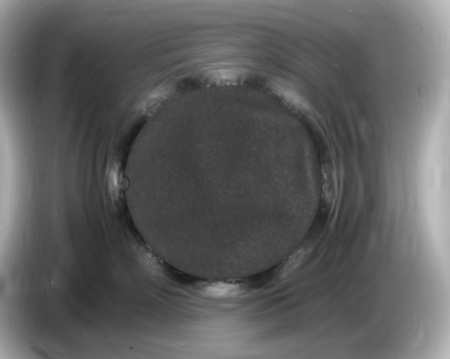 X0000086910718200704301037