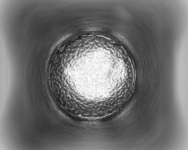 X0000086910721200704301036