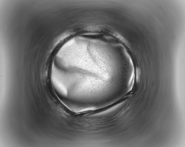 X0000086910723200704301036