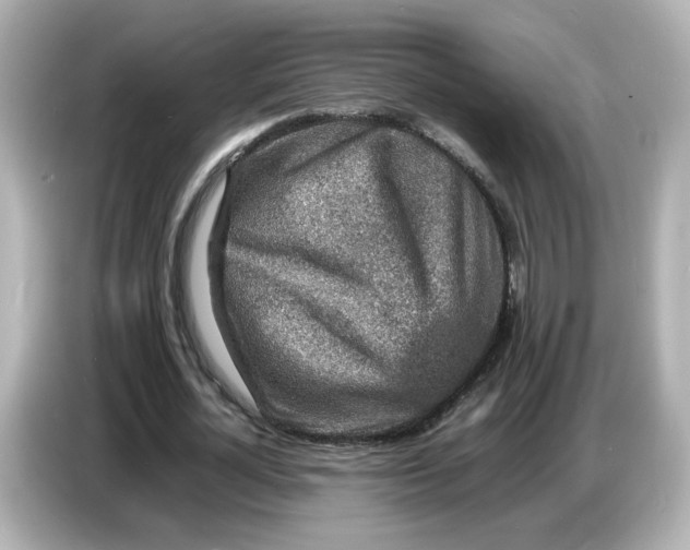 X0000086910724200704301036