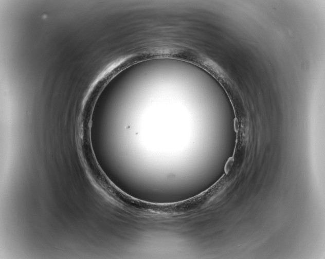 X0000086910726200704301036