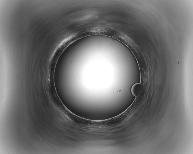 X0000086910727200704301036