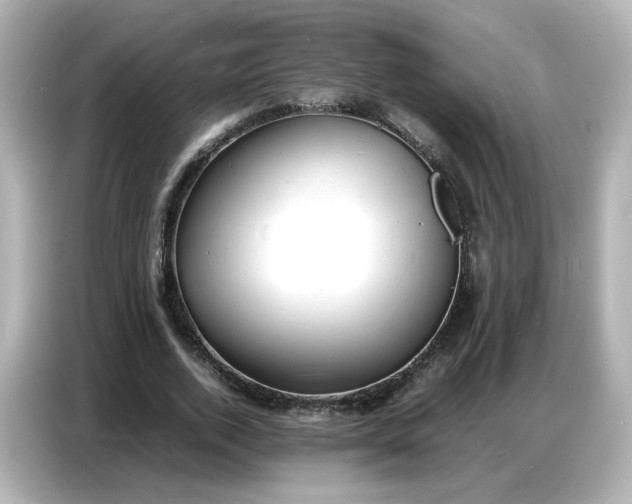 X0000086910728200704301036