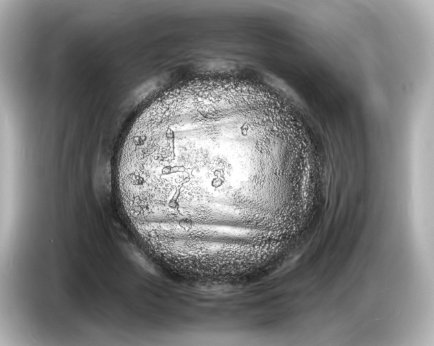 X0000086910729200704301036