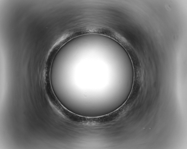 X0000086910730200704301036