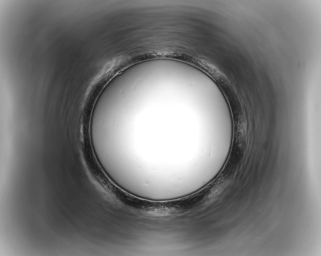 X0000086910734200704301037