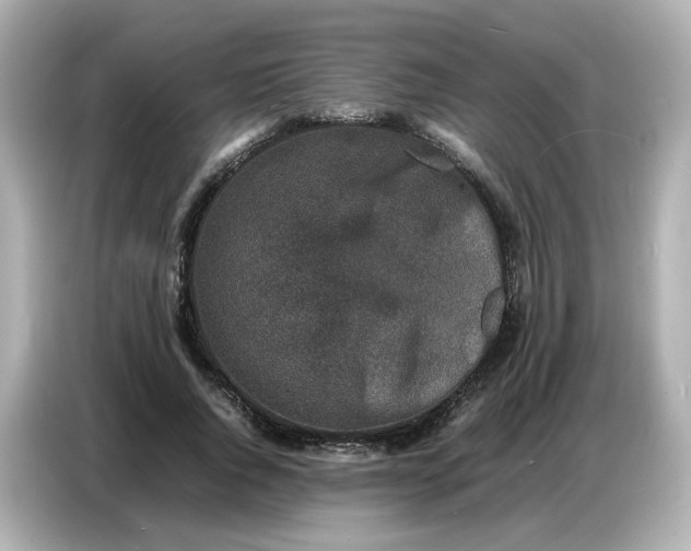 X0000086910736200704301037