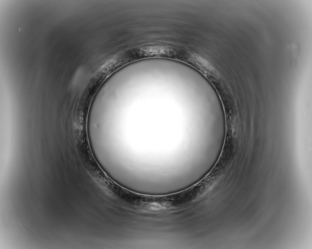 X0000086910737200704301037