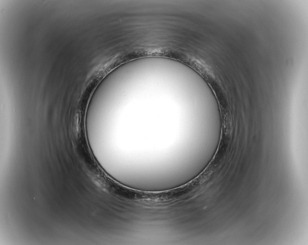 X0000086910740200704301037