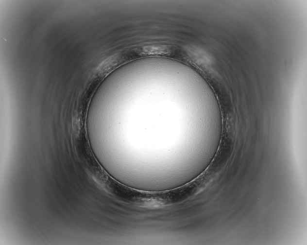 X0000086910741200704301037