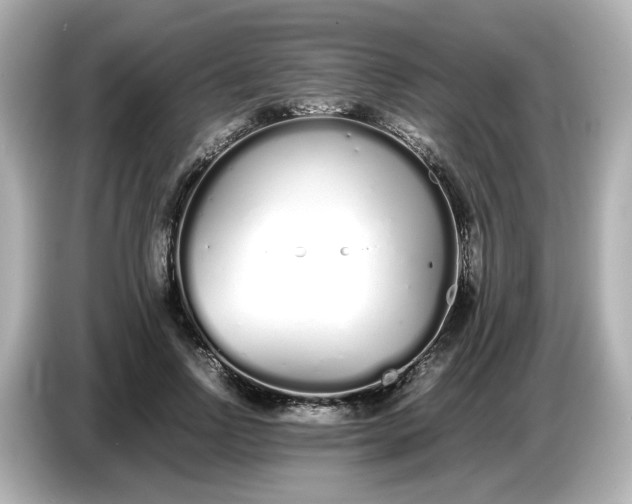 X0000086910742200704301037