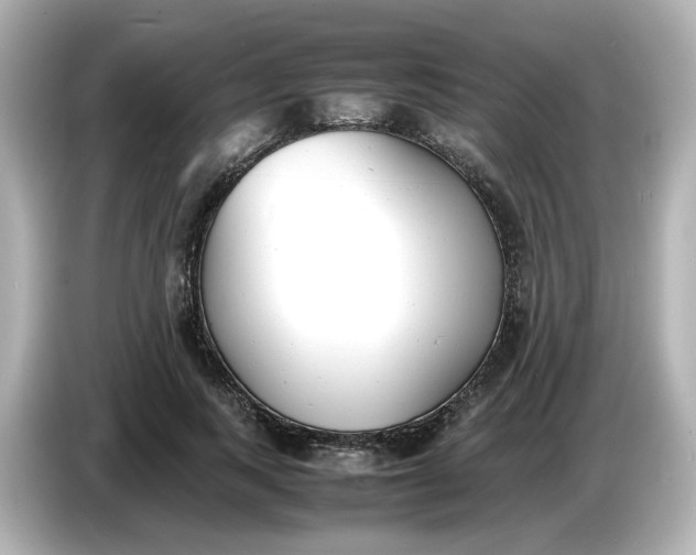 X0000086910743200704301037