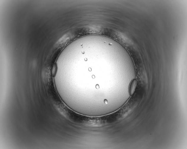 X0000086910744200704301037