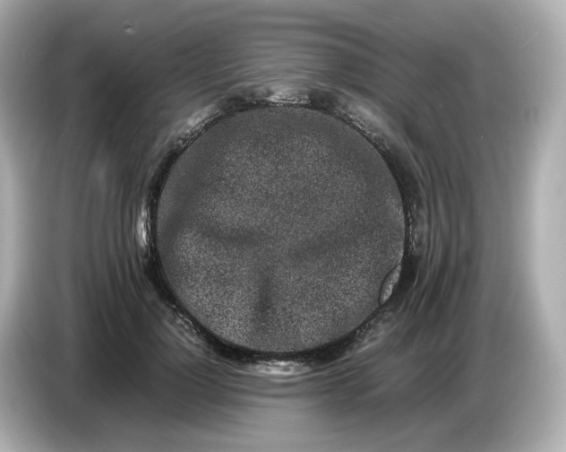 X0000086910748200704301037