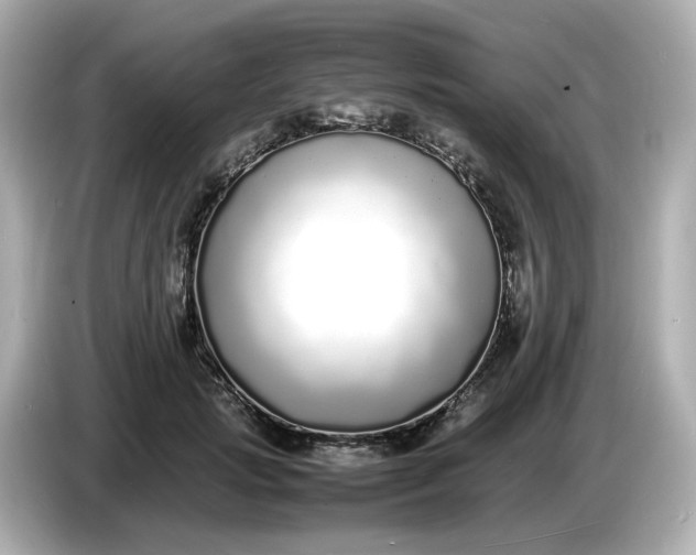 X0000086910749200704301037