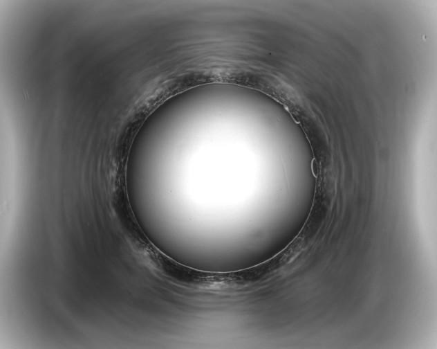 X0000086910750200704301037