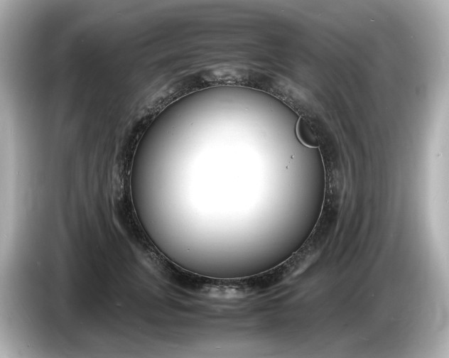 X0000086910751200704301037