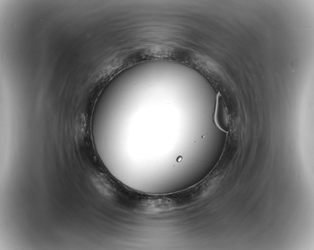 X0000086910752200704301037