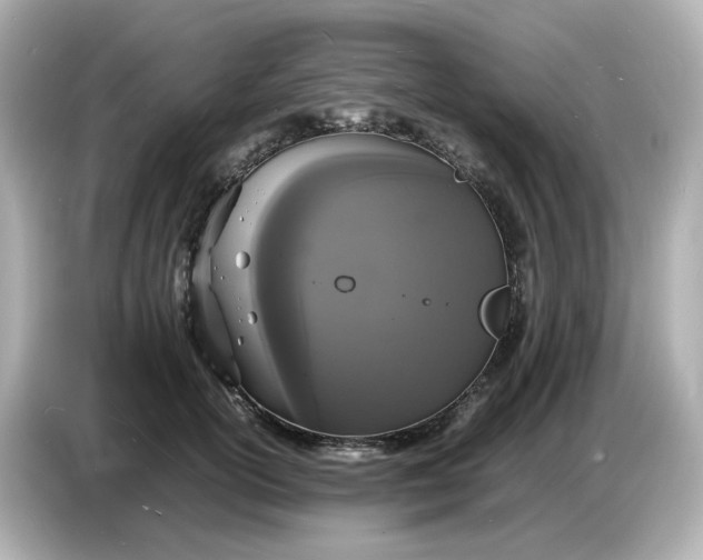 X0000086910754200704301037