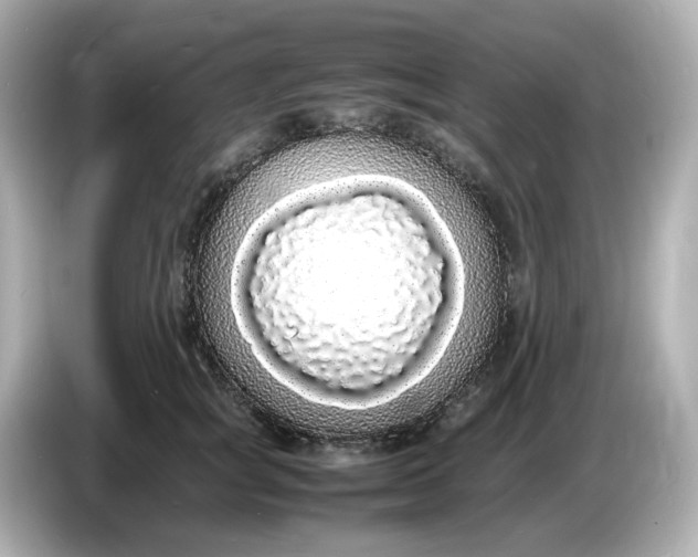 X0000086910757200704301037