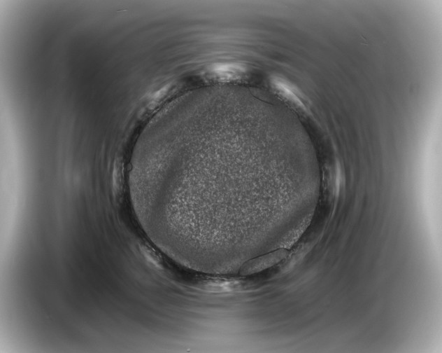 X0000086910760200704301037