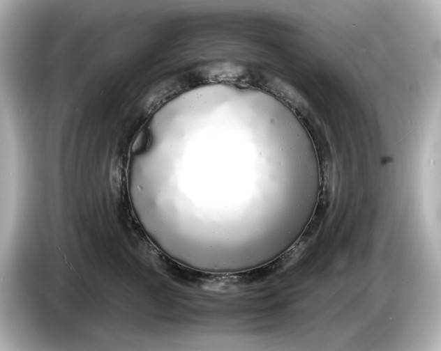 X0000086910761200704301037