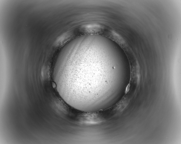 X0000086910762200704301037