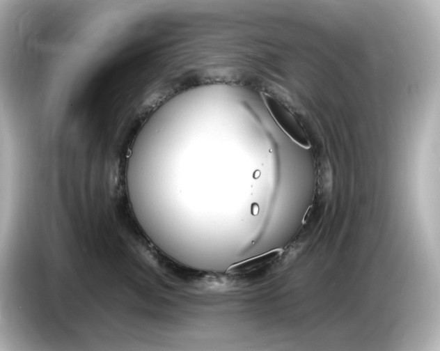 X0000086910764200704301037