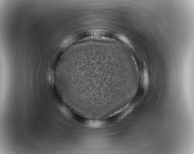 X0000086910766200704301037