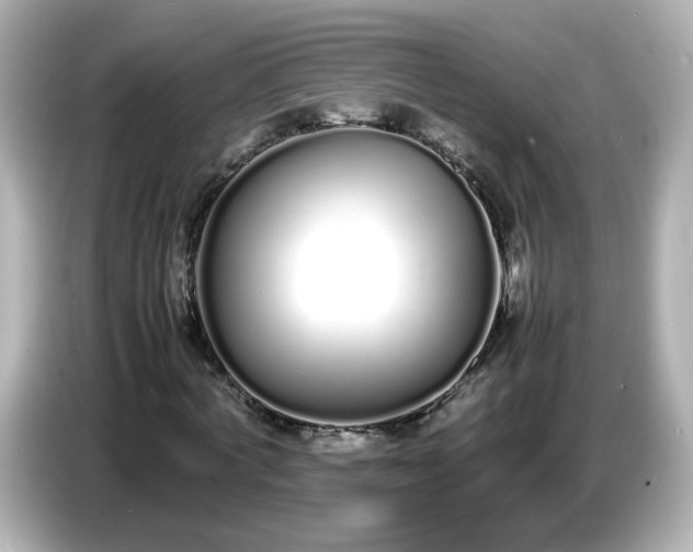 X0000086910772200704301036