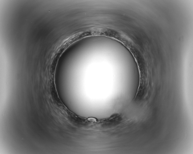 X0000086910773200704301036