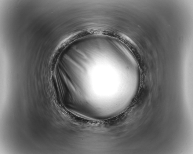 X0000086910775200704301036