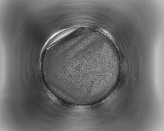 X0000086910779200704301036