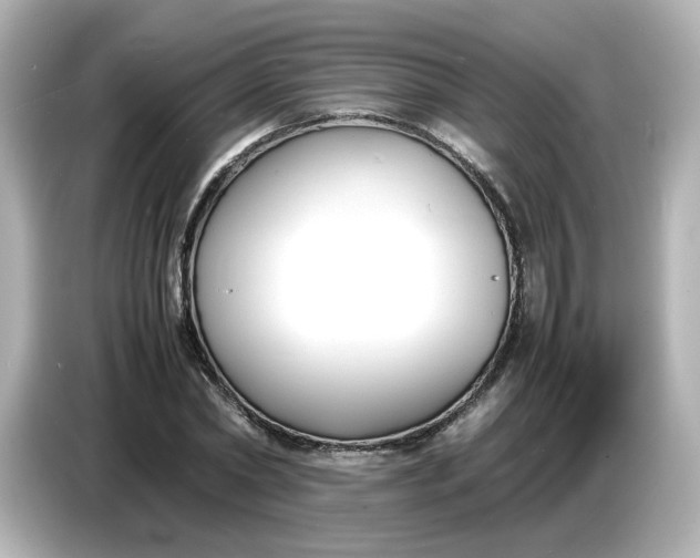 X0000086910782200704301036