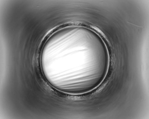 X0000086910783200704301036