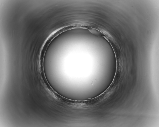 X0000086910784200704301036