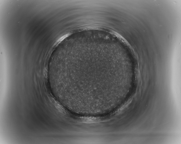 X0000086910785200704301036