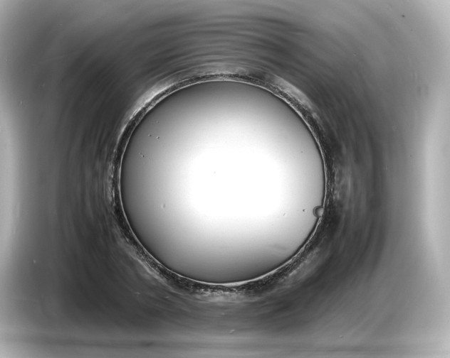 X0000086910786200704301036