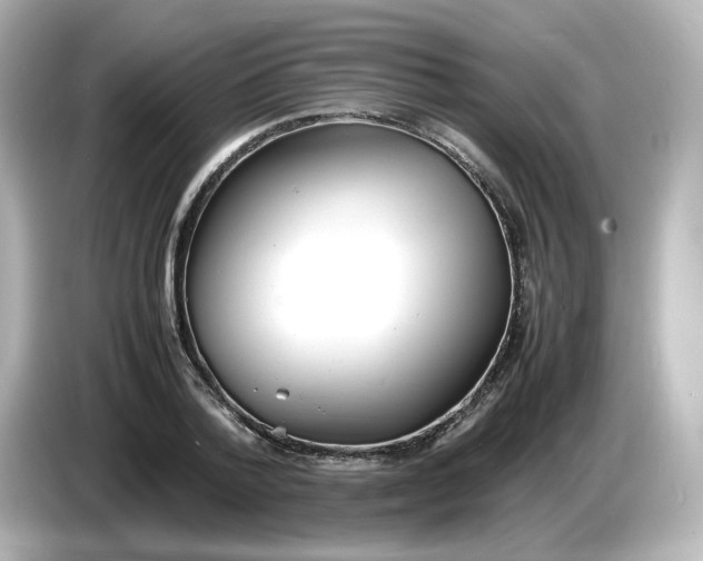 X0000086910788200704301036