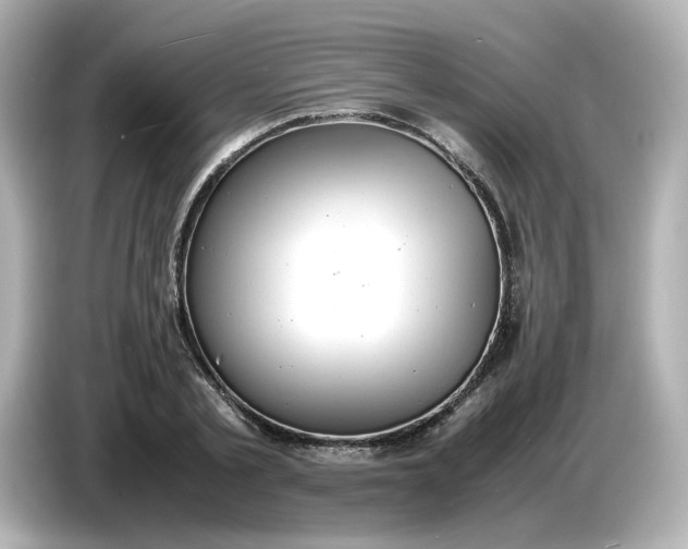 X0000086910789200704301036