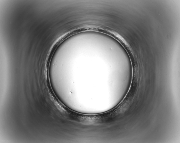 X0000086910791200704301036