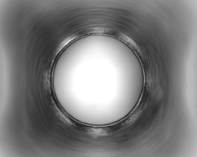 X0000086910794200704301036