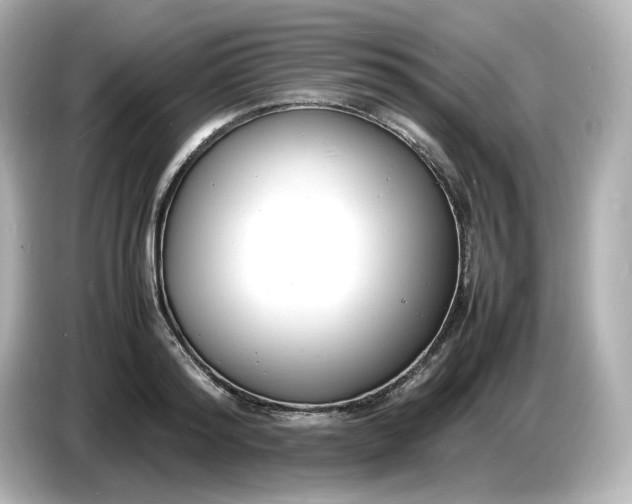 X0000086910796200704301036